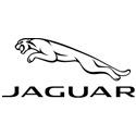 La concession Jaguar à Toulon
